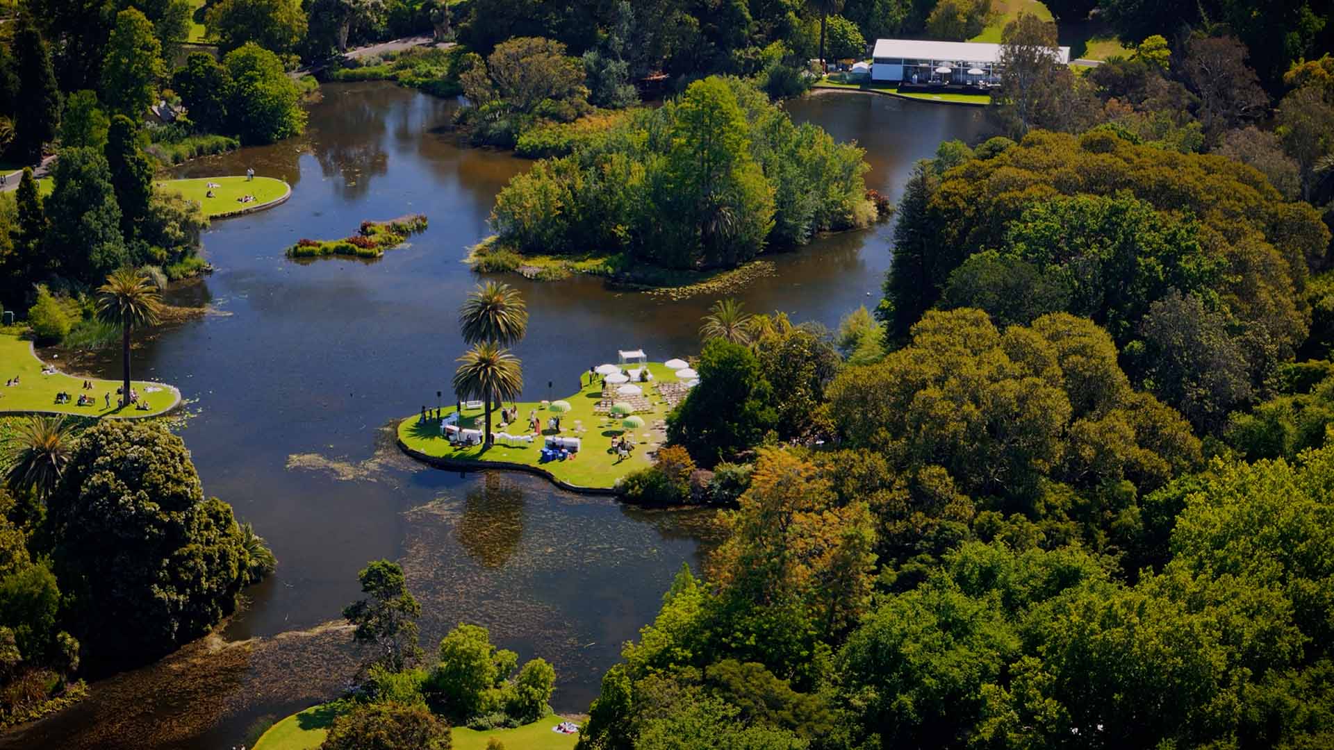 Summer wedding in Melbourne
