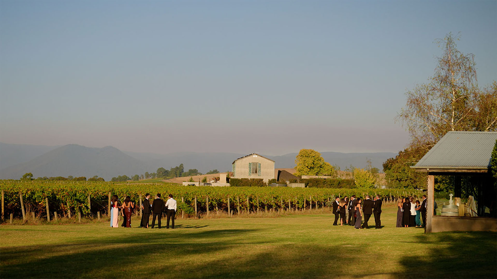 Summer vs. Winter Weddings in Melbourne: How It Impacts Your Wedding Film